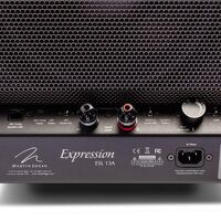 Martin Logan Expression ESL 13A. Kolumna podłogowa. - 8