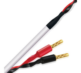 Wireworld Stream 10 (STS). Przewód głośnikowy z wtykami typu banan (2x2m).