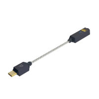 iFi Audio GO link 2. Wzmacniacz słuchawkowy z DAC. - 2