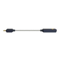 iFi Audio GO link 2. Wzmacniacz słuchawkowy z DAC. - 5