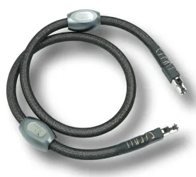 Esprit Eureka X. Przewód sieciowy - skrętka RJ-45 (1.2m).