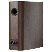 Dynaudio Contour 20i (walnut). Kolumny podstawkowe. - 3