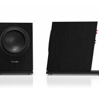 Pylon Audio Diamond Sub (okleina naturalna). Subwoofer aktywny. - 8