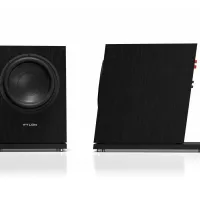 Pylon Audio Diamond Sub (okleina naturalna). Subwoofer aktywny. - 8