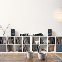 Dynaudio Emit 20 (orzech). Kolumny podstawkowe. - 6