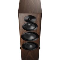 Dynaudio Focus 50 (orzech). Aktywne kolumny podłogowe - 3