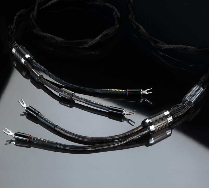 Esprit Lumina. Przewody głośnikowe z wtykami typu widły (2x2,5m).