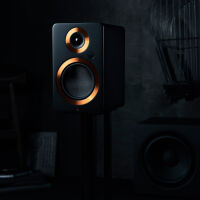Argon Audio Forte A5 WiFi (orzech). Aktywne kolumny podstawkowe. - 4