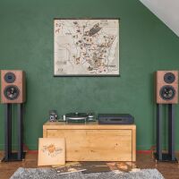 Revival Audio Atalante 3 (walnut). Kolumny podstawkowe. - 11