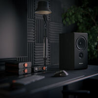 Pylon Audio Opal Monitor 18 mkII (dąb). Kolumny podstawkowe. - 6