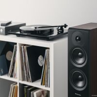 Dynaudio Emit 30 (orzech). Kolumny podłogowe. - 6