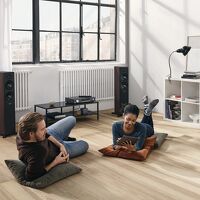 Dynaudio Emit 30 (orzech). Kolumny podłogowe. - 9