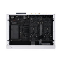 Matrix Audio TS-1. Odtwarzacz sieciowy z DAC / Pre / Wzmacniacz słuchawkowy. - 7