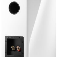 Dynaudio Evoke 20 (biały). Kolumny podstawkowe. - 4