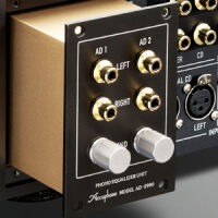 Accuphase AD-2900. Dedykowany moduł phono. - 2