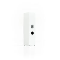 Pylon Audio Sapphire 31 (biały lakier mat). Kolumny podłogowe. - 4