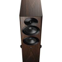 Dynaudio Focus 30 (orzech). Aktywne kolumny podłogowe - 3