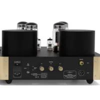 Fezz Audio Olympia Mono Power Amplifier EVO (sunlight). Monofoniczna lampowa końcówka mocy. - 2