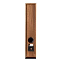 Argon Audio Forus 55 (orzech). Kolumny podłogowe. - 3