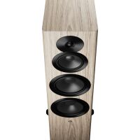 Dynaudio Focus 50 (blonde). Aktywne kolumny podłogowe - 3