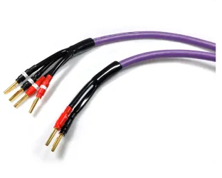 Melodika MDBW41525 (2.5m). Przewód głośnikowy z wtykami typu banan bi-wire.
