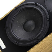 Penaudio Ambient Rebel Two Luumaki Edition. Kolumna podstawkowa. - 7