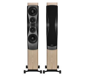 Dynaudio Confidence 60 (blond wood). Kolumny podłogowe.