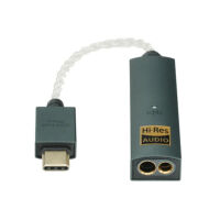iFi Audio GO link MAX. Wzmacniacz słuchawkowy z DAC. - 3
