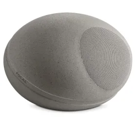 Focal Littora Stone 8 (basalt). Głośnik zewnętrzny (8Ohm/70V/100V).