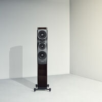 Dynaudio Confidence 30 (ruby). Kolumny podłogowe. - 6