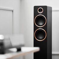 Argon Audio Fenris A55 (czarny). Aktywne kolumny podłogowe. - 4