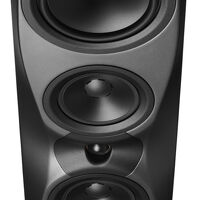 Dynaudio Confidence 50 (blond wood). Kolumny podłogowe. - 2