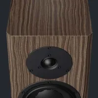 Dynaudio Special Forty (ebony wave). Kolumny podstawkowe. - 2