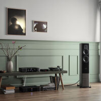 Dynaudio Contour 30i (nordic). Kolumny podłogowe. - 7