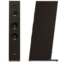 Pylon Audio Diamond 30 mkII (okleina naturalna). Kolumny podłogowe. - 3