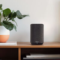 Denon HOME 150 NV (czarny). Głośnik multiroom z Bluetooth. - 9