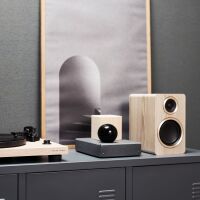Argon Audio Fenris A4 (ash). Aktywne kolumny podstawkowe. - 4