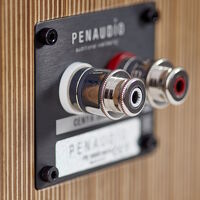 Penaudio Diamond Cenya. Kolumny podstawkowe. - 6