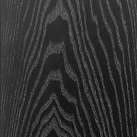 Penaudio Ambient Three (czarny). Kolumny podłogowe. - 7
