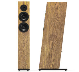 Pylon Audio Diamond 25 mkII (okleina naturalna). Kolumny podłogowe.