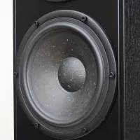 Penaudio Rebel Three  Luumaki Edition (oak). Kolumny podłogowe. - 4