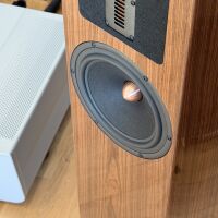 Esprit Amelia (orzech). Kolumna podłogowa. - 15