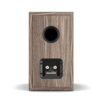 Dali Sonik 3 (orzech). Kolumna podstawkowa. - 6