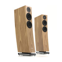 Pylon Audio Jasper 25 mkII (orzech amerykański). Kolumny podłogowe. - 2