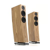 Pylon Audio Jasper 25 mkII (orzech amerykański). Kolumny podłogowe. - 2