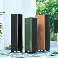 Focal Aria Evo X N°1 (zielony). Kolumny podstawkowe. - 13