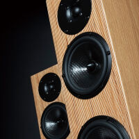 Penaudio Snow Talvi (oak). Kolumna podłogowa. - 11