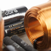 Penaudio Snow Talvi (oak). Kolumna podłogowa. - 10