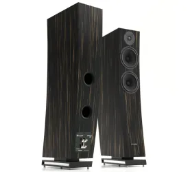 Pylon Audio Jasper 25 mkII (heban marokański). Kolumny podłogowe.