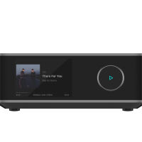 WiiM Amp Ultra (ciemnoszary). Sieciowy wzmacniacz stereo. - 9